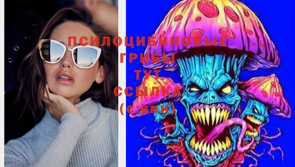 тгк Бикин