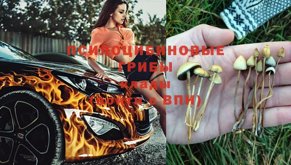 jwh Новодвинск