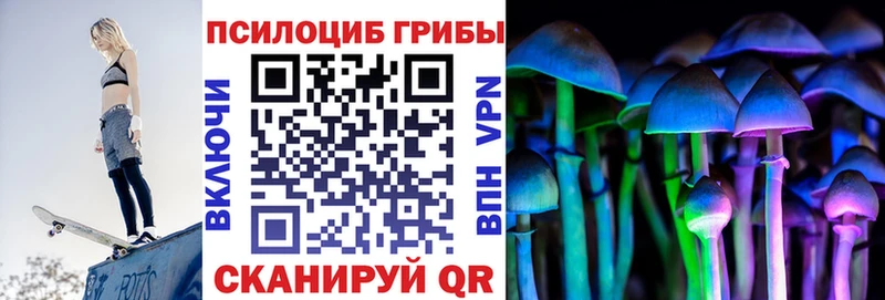 как найти наркотики  Черногорск  Псилоцибиновые грибы прущие грибы 