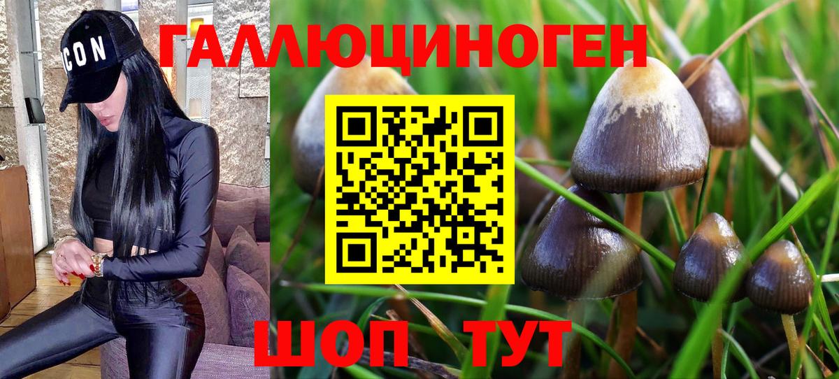 Псилоцибиновые грибы мухоморы  Черногорск 