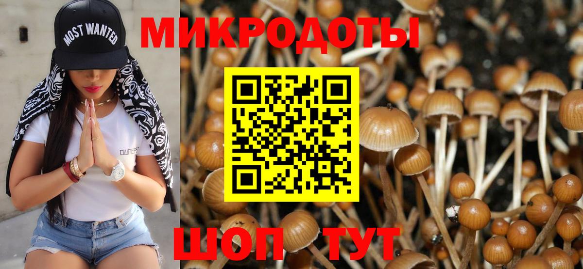 Галлюциногенные грибы GOLDEN TEACHER  Галлюциногенные грибы ЛСД  Вход с VPN  Черногорск 