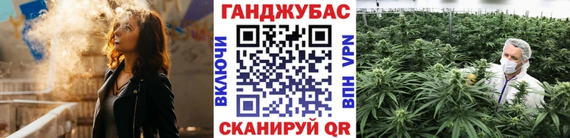 OMG зеркало  Черногорск  Марихуана Amnesia 